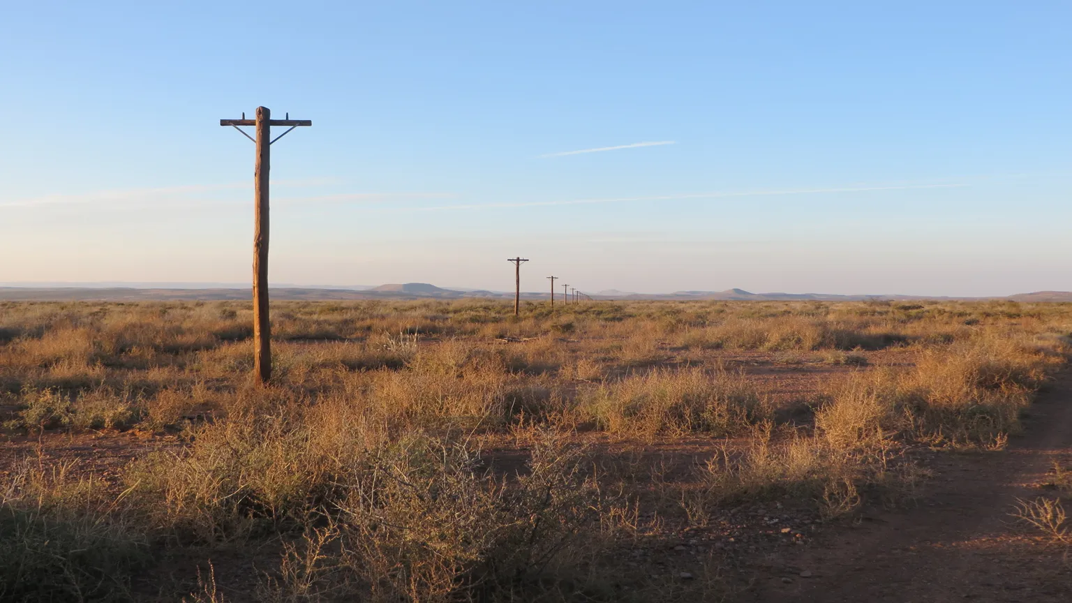 A row of utility poles disappearing into the West Texas horizon at golden hour.